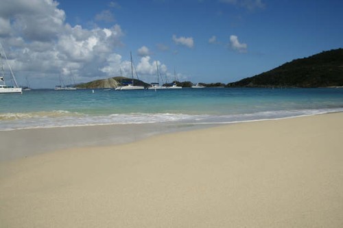 Deadman’s Bay Peter Is.JPG © Ian & Andrea Treleaven